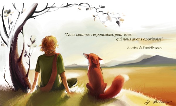 The-Little-Prince-And-Fox-2015-Cartoon-Wallpaper