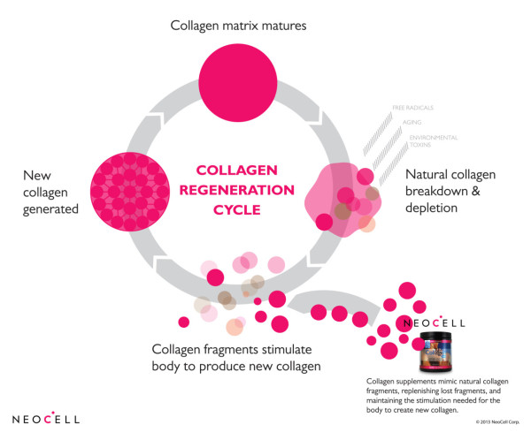 collagen neocell how work